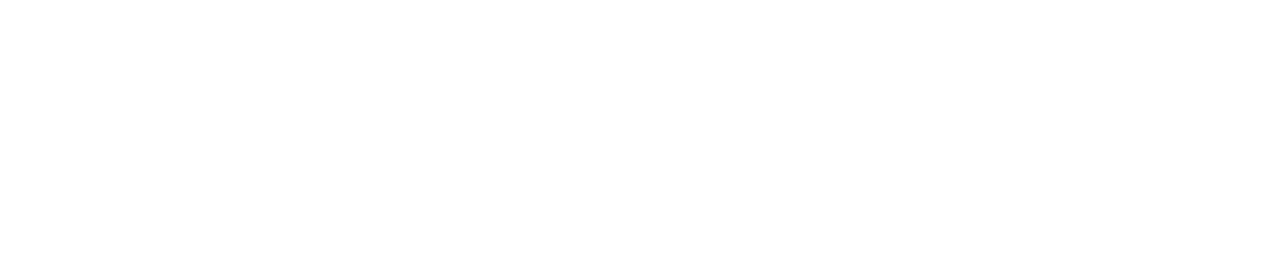 Connect logo