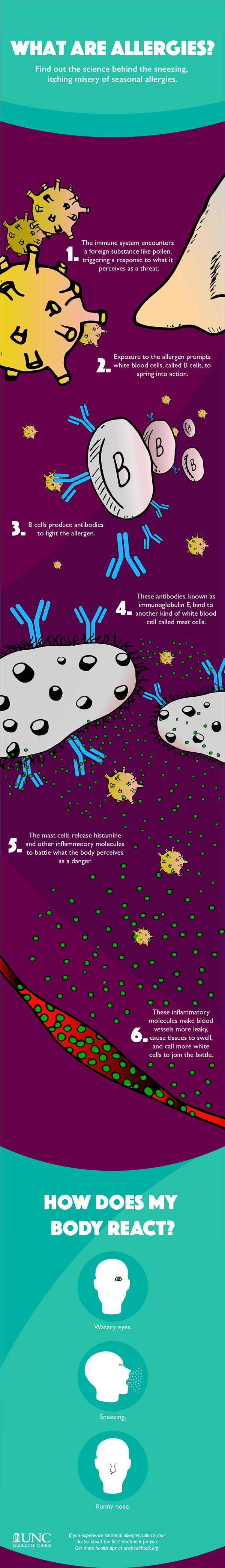 Allergies infographic.