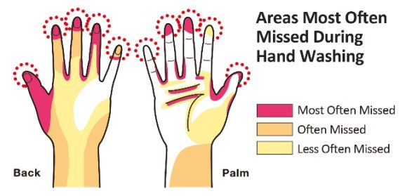 Handwashing Graphic.