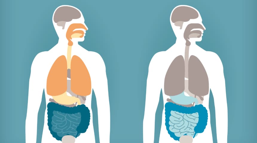 Food allergy infographic