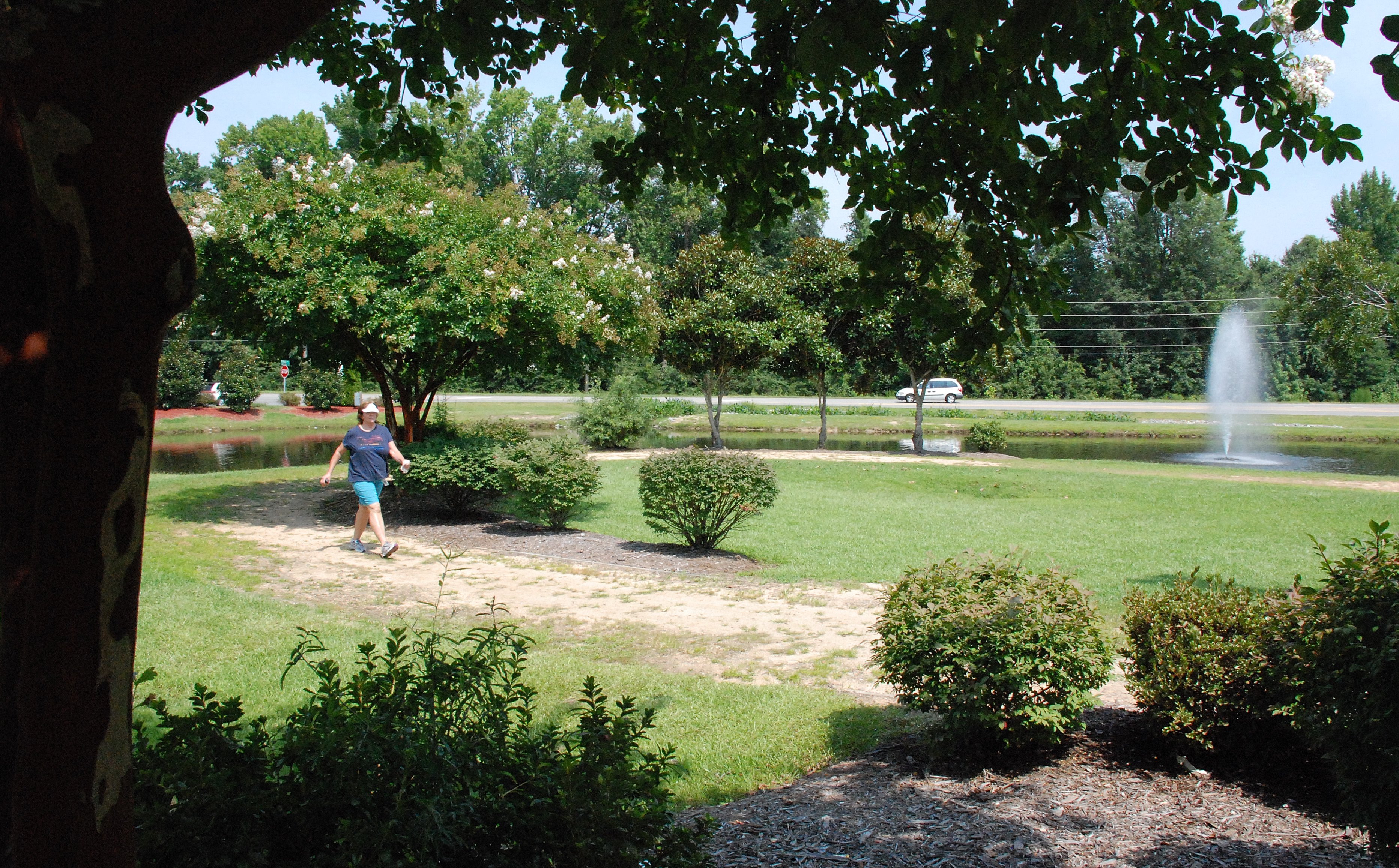 Walking Trail