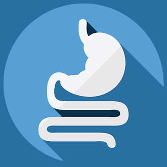 Drawing of intestines and stomach for colonoscopy
