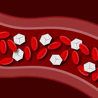 Blood vessel drawing
